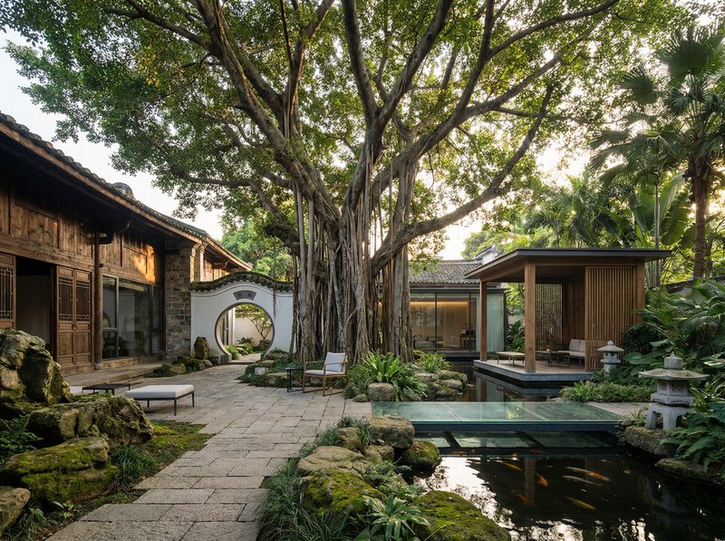 国产视频获奖视频：古榕传奇